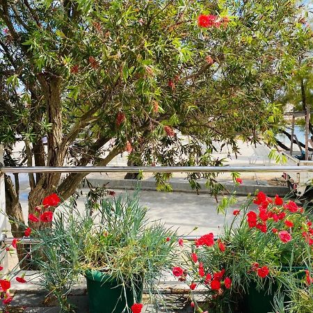 Apartments Vukman Seget Vranjica Ngoại thất bức ảnh